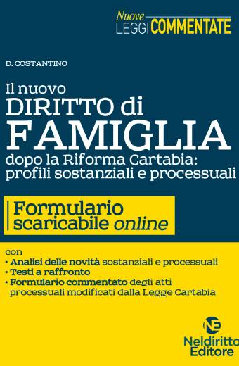Il Nuovo Diritto di Famiglia dopo la Riforma Cartabia: profili sostanziali e Processuali con Formulario