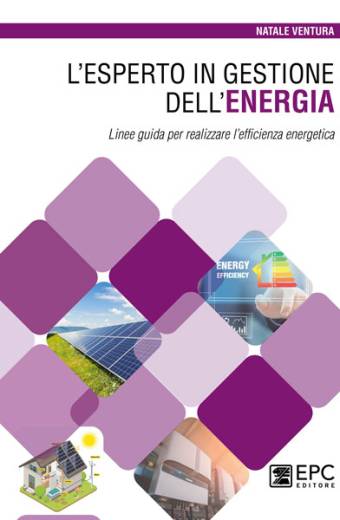 L'Esperto in Gestione dell'Energia
