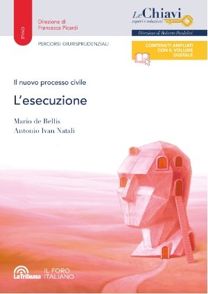 Il nuovo processo civile. L'ESECUZIONE