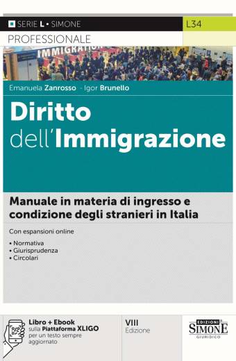 diritto dell'immigrazione simone 2024