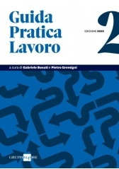 guida-pratica-lavoro-2-2025