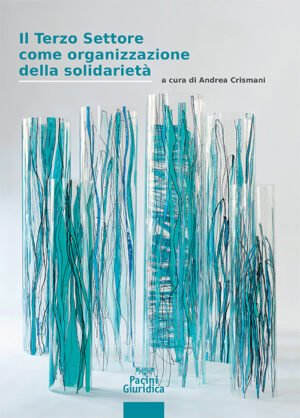 Il Terzo Settore come organizzazione della solidarietà