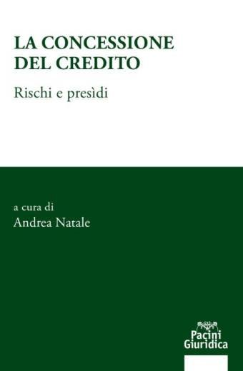 LA CONCESSIONE DEL CREDITO